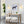 6 Zoll, 1-flammige, moderne Wandleuchte aus Messing mit glockenförmigem Glasschirm aus Milchglas für Schlafzimmer, Wohnzimmer, Flur