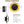 Applique murale LED intégrée ronde à intensité variable de 11,41 po, 13 watts, noir mat et feuille d'or pour couloir
