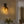Applique murale 1 lumière en métal antique de 18 cm (7,09 po) avec abat-jour en verre ovale dégradé pour chambre, salle de bain, couloir