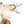 Applique murale 2 lumières or antique de 40,9 cm avec abat-jour en verre dépoli, luminaire mural pour chambre ou salon