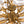 Lustre de salon moderne doré de 61 cm à 13 lumières avec abat-jour en verre transparent texturé en forme de pétales