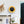 Applique murale LED intégrée ronde à intensité variable de 11,41 po, 13 watts, noir mat et feuille d'or pour couloir