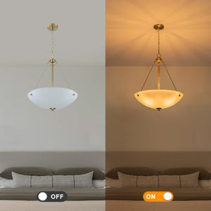 19.69 Zoll 4-flammige moderne Bauernhaus-Inselpendelleuchte mit goldenem Metallschirm und weißem Glasschirm für die Küche