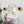 Applique murale LED intégrée ronde à intensité variable de 11,41 po, 13 watts, noir mat et feuille d'or pour couloir