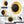 Applique murale LED intégrée ronde à intensité variable de 11,41 po, 13 watts, noir mat et feuille d'or pour couloir